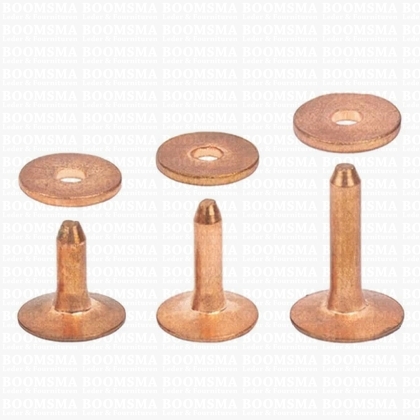 Klinknagels klein  roodkoper 10 mm, (stift + ring) kop Ø 10 mm, stift Ø 2.8mm (per 10 st.) KOPER - afb. 1
