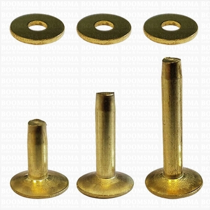Klinknagels groot  messing/goud 25 mm, (stift + ring) kop Ø 11 mm, stift Ø 4mm (per 10 st.) - afb. 1
