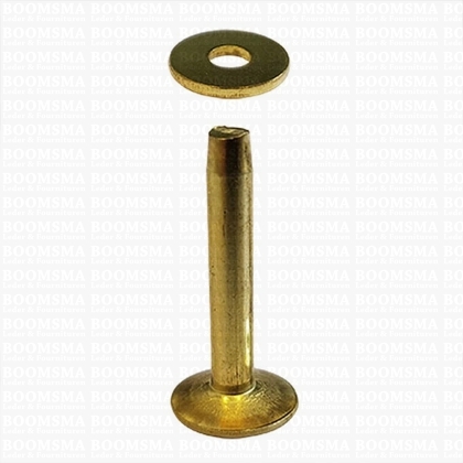 Klinknagels groot  messing/goud 25 mm, (stift + ring) kop Ø 11 mm, stift Ø 4mm (per 10 st.) - afb. 2