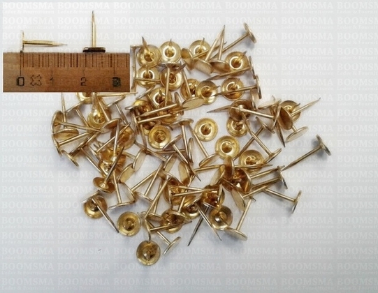 Knoopnagels (geen tang beschikbaar) per 100 stuks (goud kleur) - afb. 2
