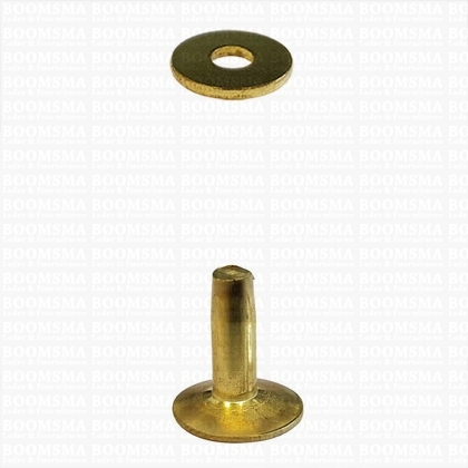 Klinknagels groot  messing/goud 12 mm, (stift + ring) kop Ø 11 mm, stift Ø 4mm (per 10 st.) - afb. 2