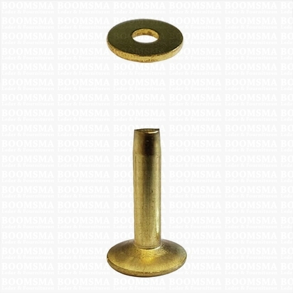 Klinknagels groot  messing/goud 20 mm, (stift + ring) kop Ø 11 mm, stift Ø 4mm (per 10 st.) - afb. 2