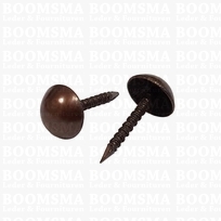 Meubelnagels brons kop Ø 9 mm, lengte van spijker 15 mm