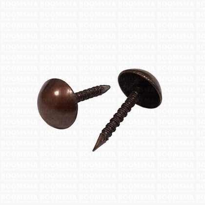 Meubelnagels brons kop Ø 9 mm, lengte van spijker 15 mm - afb. 1