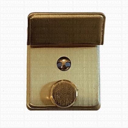 Polstasslot goud b 3,3 × h 3,7 cm  - afb. 1