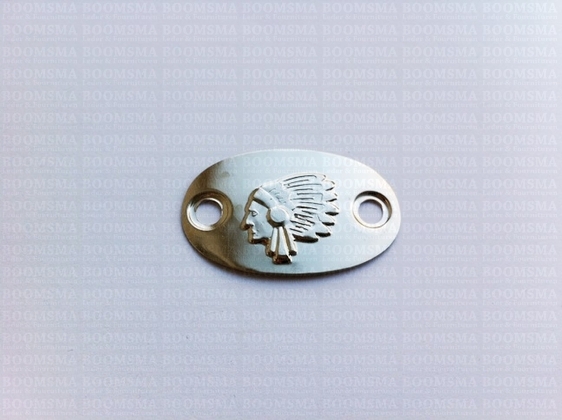 Sierplaatjes zilver Indiaan (10/pak), gaten Ø 4 mm (per pakje) - afb. 2