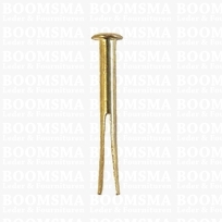 Splitpen lengte 20 mm kop Ø 6 mm stift 3 mm kleur: goud (per 10)