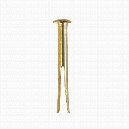 Splitpen lengte 20 mm kop Ø 6 mm stift 3 mm kleur: goud (per 10) - afb. 1