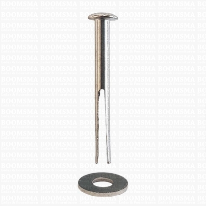 Splitpen met tegenring lengte 20 mm kop Ø 3,5 mm stift 2 mm kleur: nikkel (per 10) - afb. 1