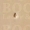 Stempels P P233  
