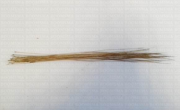 Varkenshaarborstel (Authentiek) naturel per 20 haren ong. 18 cm - afb. 1