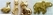 Versiering dieren goud - afb. 4